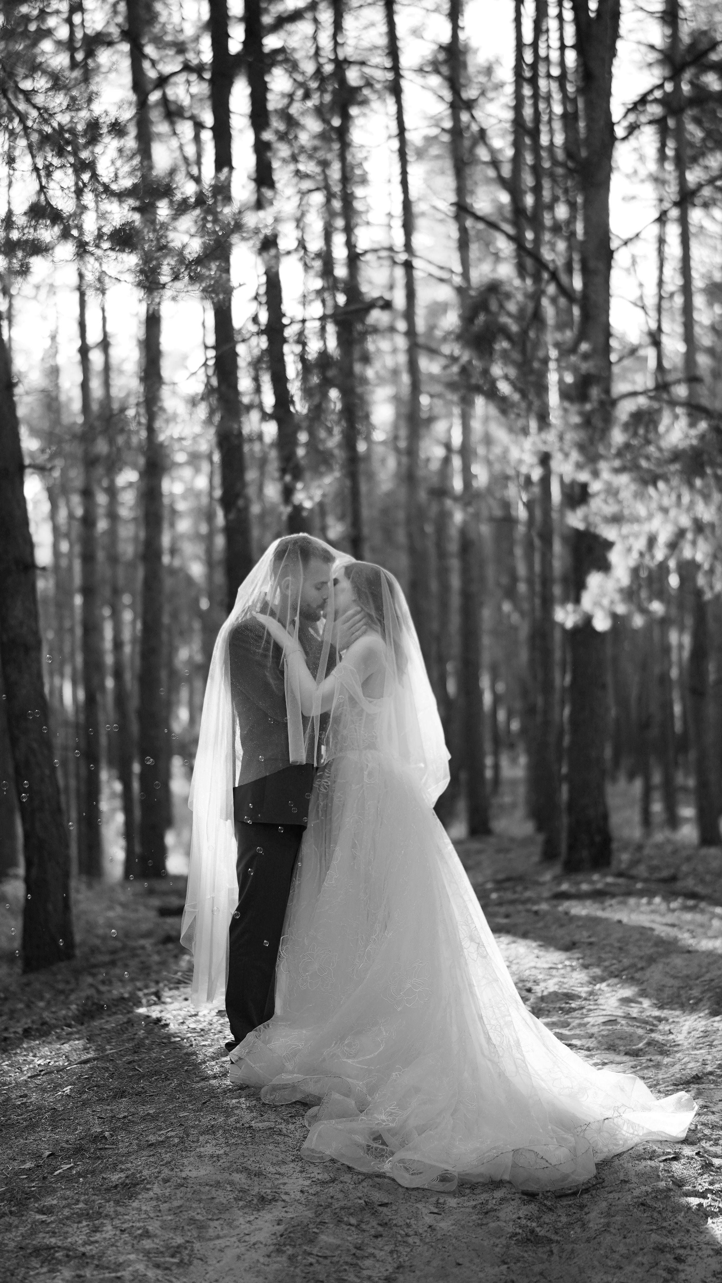 Wedding FULL DAY